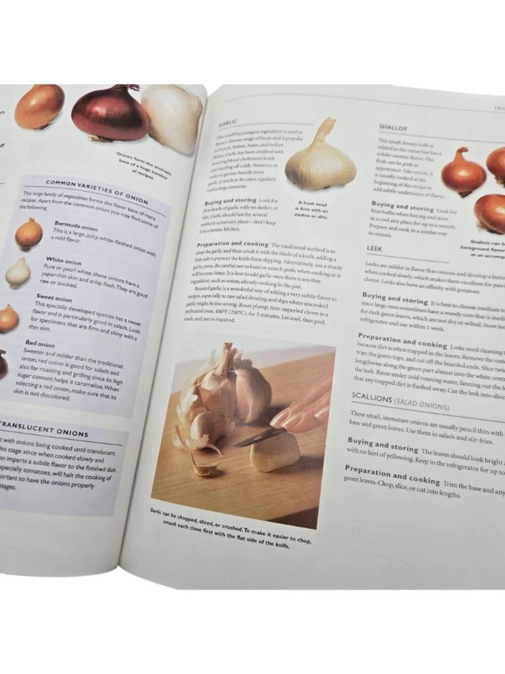 Vegetarian Bible Hardcover 2002 Cookbook Illustrated Guide Vegetarian Cooking
